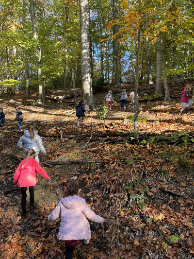 Erdmnnchen Wald klein